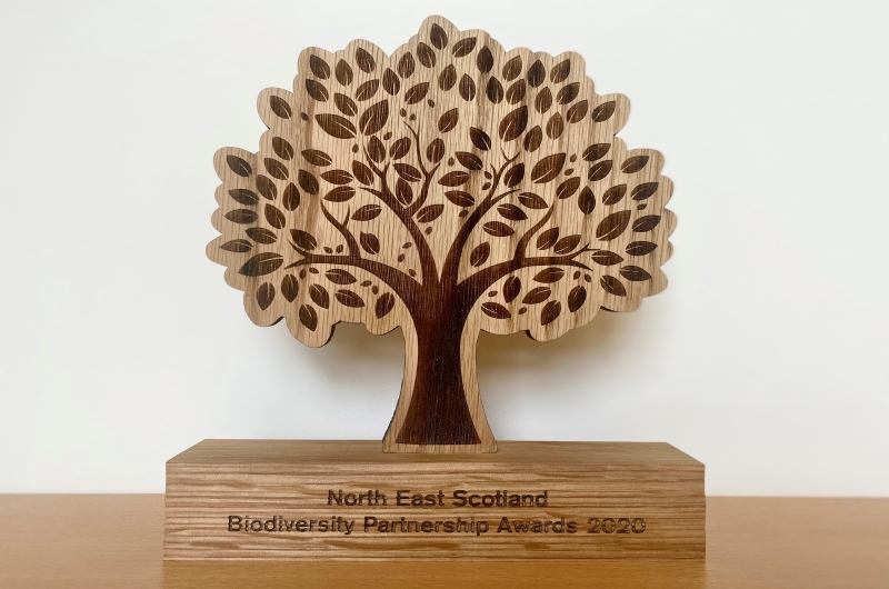 Photo of the tree-shaped Wooden Biodiversity Champion Award 