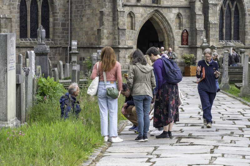 Image showing a group joining St Machar's Cathedral's BioBlitz in June 2025