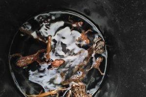 Image showing amphibians stuck in a gully pot