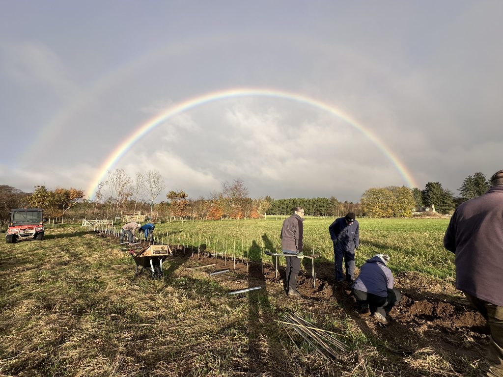 Image of hedgerow planting - one of the NESBiP Big 5