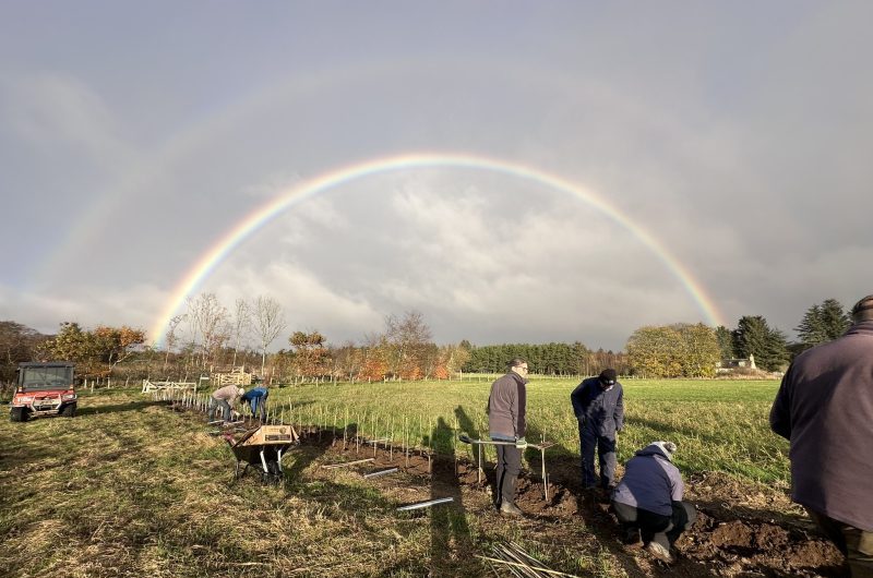 Image of hedgerow planting - one of the NESBiP Big 5