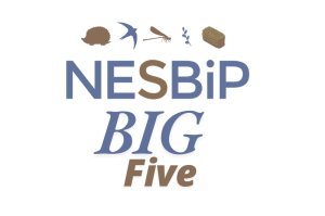 NESBiP Big 5 logo