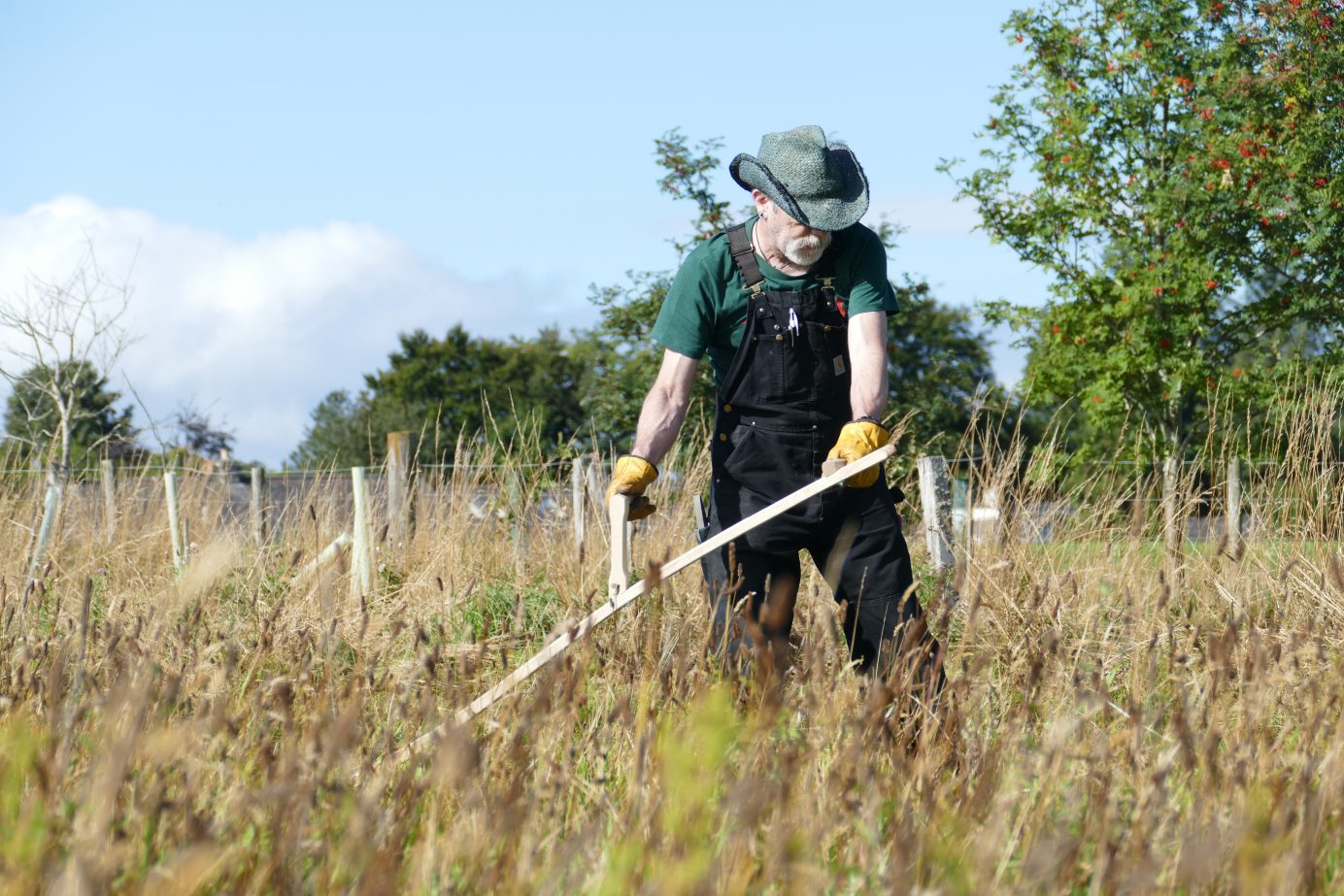 Scything workshop