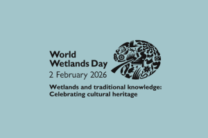 Simple actions can make a big difference to the NESBiP Big 5 this World Wetland Day.