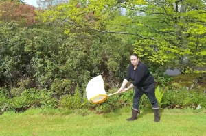 Charlotte Wood - Sweep netting for insect - Aberdeen Insect Week 2026