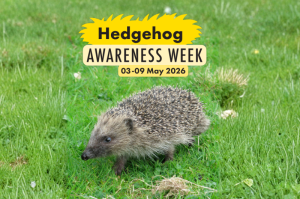 Hedgehog awarness week logo