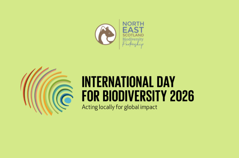 International Day for Biological Diversity 2026 logo and theme with the NESBiP Logo International Day for Biological Diversity 2026 logo and theme with the NESBiP Logo
