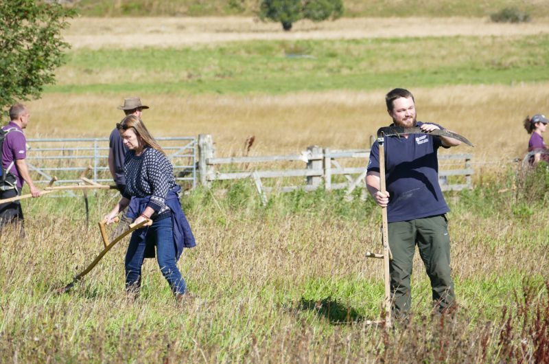 Participants of last years wildflower and scything workhops.
