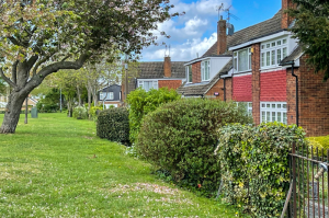 Swap your fence and wall for a hedgerow