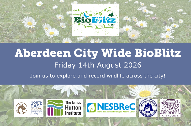 Aberdeen City Wide BioBlitz - 14th August