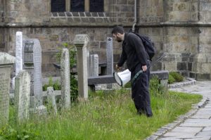 Entomologist looking for insect samples at St Machar's Cathedral 