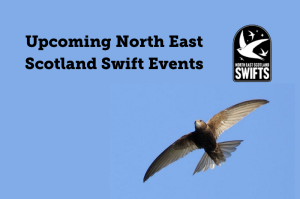 Upcoming North East Scotland Swift Events