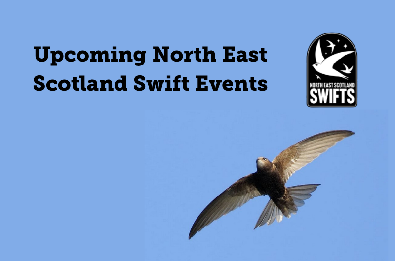 Upcoming North East Scotland Swift Events Upcoming North East Scotland Swift Events