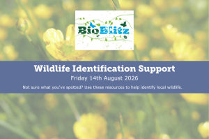 Aberdeen BioBlitz wildlife identification
