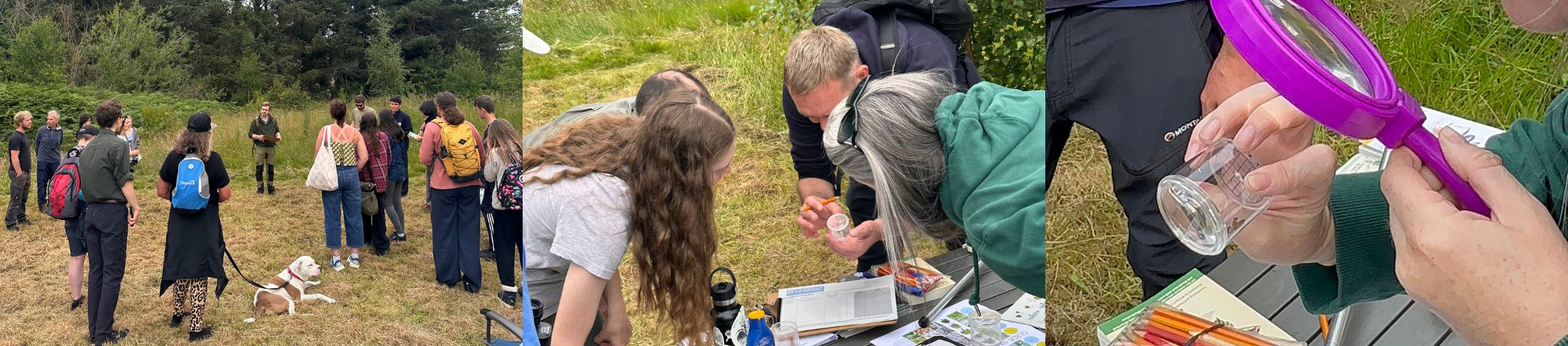 Attendees of the Elgin Oakwood Bioblitz