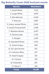 Big Butterfly Count - Scotland Results 2026 