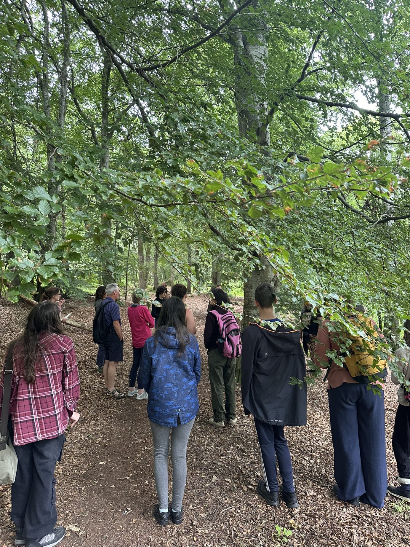 Attendees at the elgin bioblitz who helped get these results