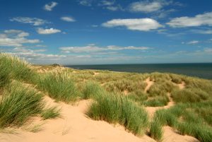 Sand dunes along the north east scotland coastline