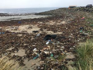before a ttpt beach clean showing the state of our coastline in the north east scotland